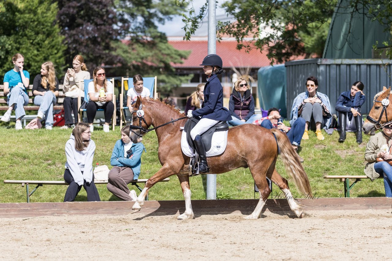 Bild 614 - Pony Akademie Turnier